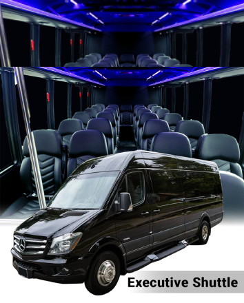Executive Shuttle